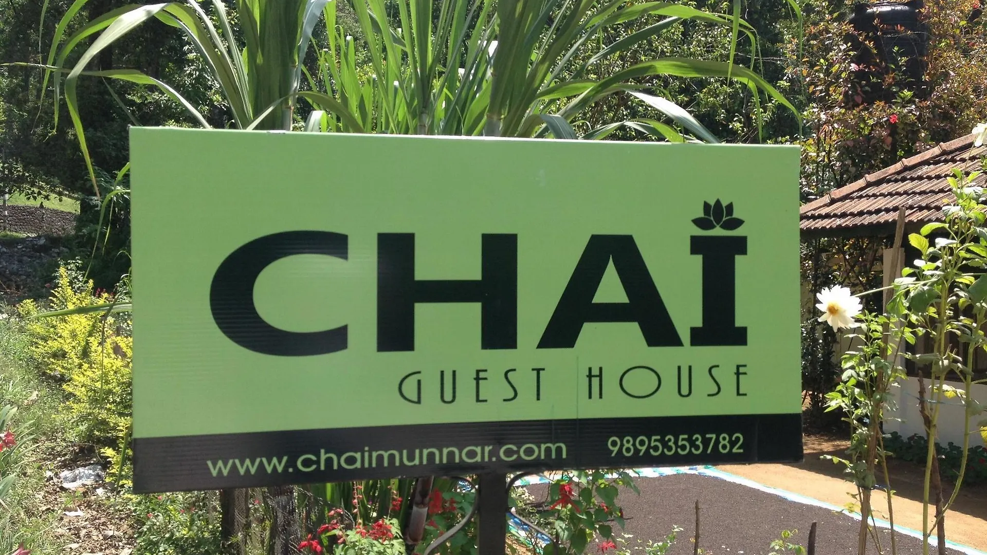 Chai Guest House Munnar